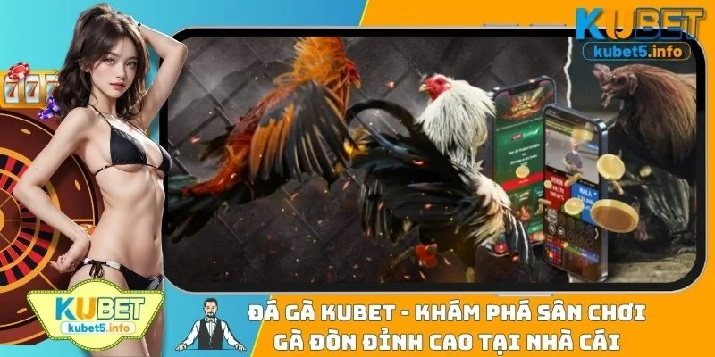 Đá Gà KUBET - Khám Phá Sân Chơi Gà Đòn Đỉnh Cao Tại Nhà Cái